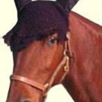 Intrepid International Fancy Crochet Fly Veil Horse Size