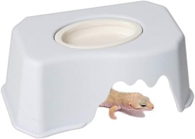 Gecko Hideout Box with Wider Entrance Hide Cave with Sink to Increase