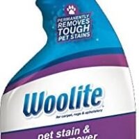 Bissell Woolite Pet Stain & Odor Remover Oxygen Trigger 22 Ounces 0890