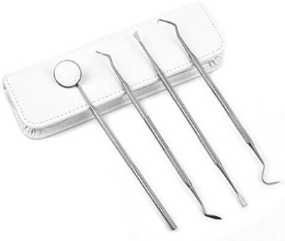 BWOGUE Tooth Scaler Tools Kit Perfect for Cats and Dogs - 68 Inch