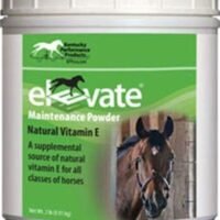 Kentucky Performance Prod 044097 Elevate Maintenance Powder