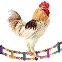 BWOGUE Wooden Chicken Flexible LadderParrot Chicken SwingPet Toy