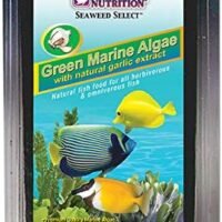Ocean Nutrition Green Algae Seaweed 10 Sheets