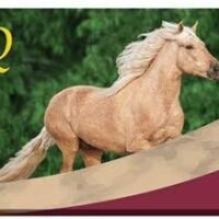 PFIZER Equine 450006 Anthelcide EQ Equine Wormer Paste 085 oz