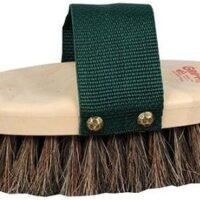 Decker 93 Oval Horse Hair Brush for Horses