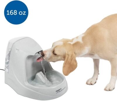 PetSafe Drinkwell Cat and Dog Water Fountain - Platinum 12 or 1