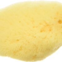 Zoo Med All Natural Hermit Crab Sea Sponge