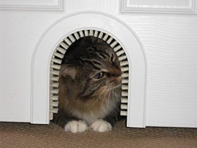 Cat Door - The Original Cathole Interior Pet Door - The Only Cat Door