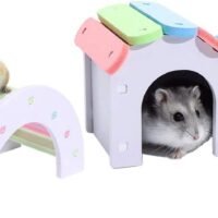 Dwarf Hamsters House DIY Wooden Gerbil Hideout Mouse Exercise Bridge