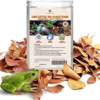SunGrow Dwarf Frog Leaf Litter 2 Inches Mini Leaves for Boosting