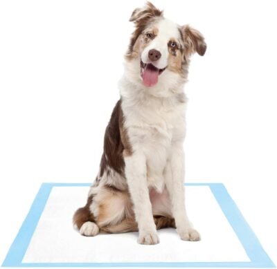 Amazon Brand - Solimo Super Absorbent Puppy Pads Unscented Regular
