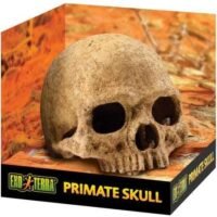 Exo Terra Primate Skull Terrarium D