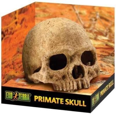 Exo Terra Primate Skull Terrarium D