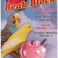Living World Mineral Block Apple for Parakeets 2835 Grams