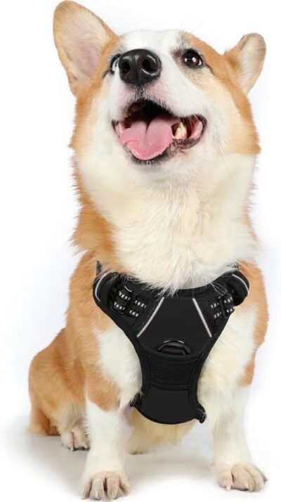 Rabbitgoo No Pull Dog Harness Medium Front Clip Pet Vest Harness with