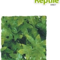 Zoo Med Naturalistic Bush Plant Congo Ivy Large