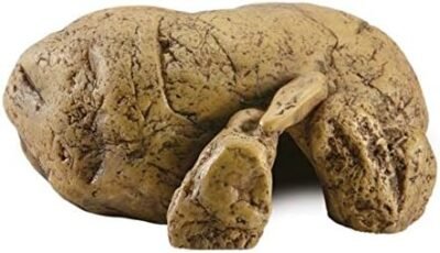 Exo Terra 0015561229319 1 Reptile Cave - Medium Multicolor