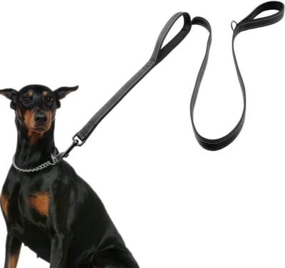 ECO-CLEAN Dog Leash for Large Dogs 2 Handles for Extra Control 6 FT
