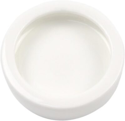 OMEM Worm Dish Mini Reptile Food Bowl Ceramics Made