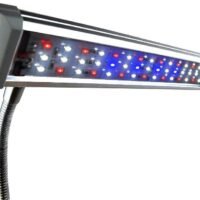 Finnex FugeRay Planted Aquarium LED Light Plus Moonlights Cliplight