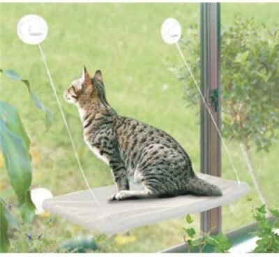 PETPAWJOY Cat Bed Cat Window Perch Window Seat Suction Cups Space