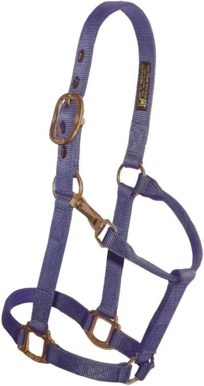Big 'D' Adjustable Snap Halter with Adjustable Chin and Snap Blue