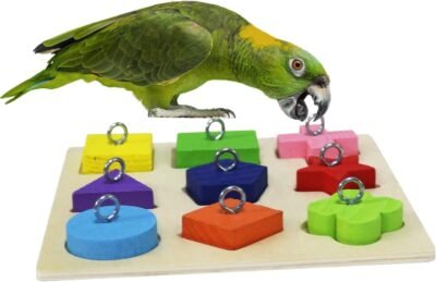 RYPET Bird Bell Toy Bellpull Bird Toy Parrot Cage Toys Cages African