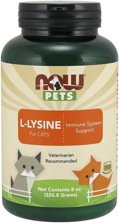 NOW Pet Health L-Lysine Supplement Powder Formulated for Cats NASC