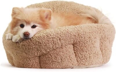 Best Friends by Sheri OrthoComfort Deep Dish Cuddler