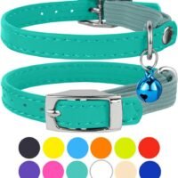 CollarDirect Leather Cat Collar Cat Safety Collar with Elastic Strap