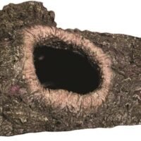 Zilla Reptile Habitat Dcor Hideouts Bark Bends
