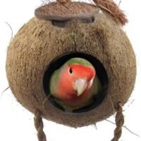 SunGrow Bird House with Ladder Nesting Home and Bird Feeder Mini