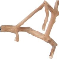 A&E Cage Co Java Wood Multi Branch Perch - Small - 16 in x 12 in