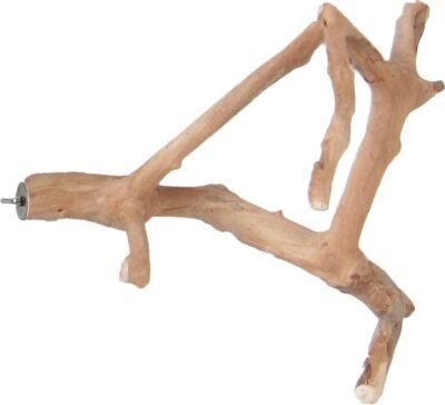 A&E Cage Co Java Wood Multi Branch Perch - Small - 16 in x 12 in