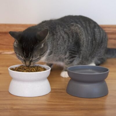 Kitty City Raised Cat Food Bowl Collection Stress Free Pet Feeder and