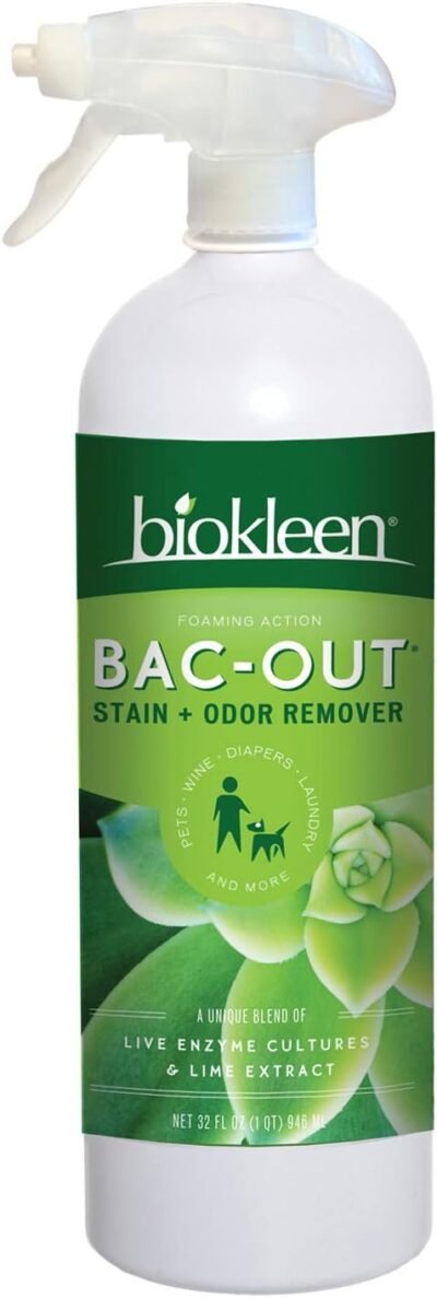 Biokleen Bac-Out Enzyme Stain Remover - 32 Ounce - Natural Foam Spray