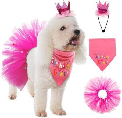 SCENEREAL Dog Birthday Bandana Girl - Birthday Party Supplies -Tutu