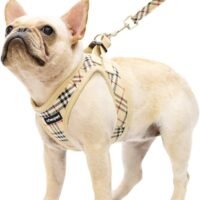 CHERPET Puppy Harness and Leash Set - Plaid Cute Adjustable Small Dog