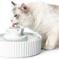 Cepheus 360 Ceramic Pet Fountain Advanced Porcelain Cat Water
