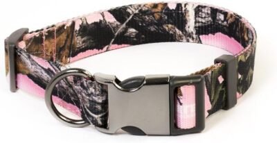 Pet Champion Adjustable No-Pull Harness Collar Leash Matching Bundle