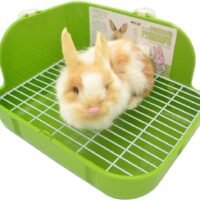 SunshineBio Rabbit Litter Box Toilet for Small Animal Bunny Rabbits