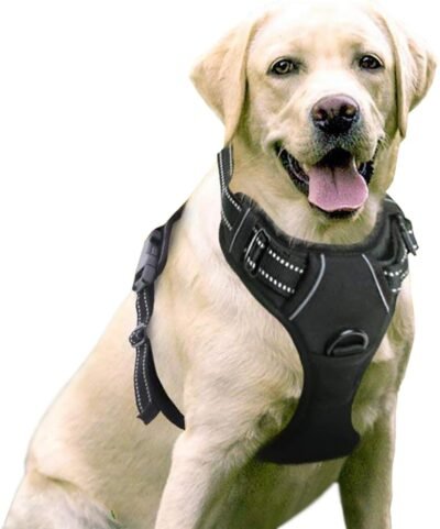 rabbitgoo Dog Harness No-Pull Pet Harness Adjustable Outdoor Pet Vest