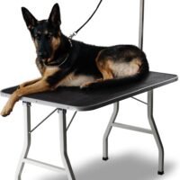Grooming Table for Dogs - Tables Stand Pet Supplies Best for Small