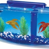 Penn Plax Deluxe Triple Betta Bow Aquarium Tank 07-Gallon