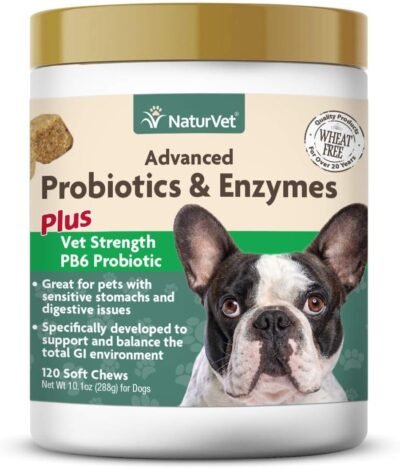 NaturVet Advanced Probiotics & Enzymes - Plus Vet Strength PB6