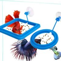 2 Pcs Fish Feeding Ring Fish Safe Floating Food Feeder Circle Blue