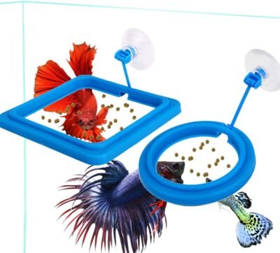 2 Pcs Fish Feeding Ring Fish Safe Floating Food Feeder Circle Blue