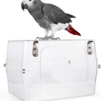 Colorday Large Bird Bath with Clear View for