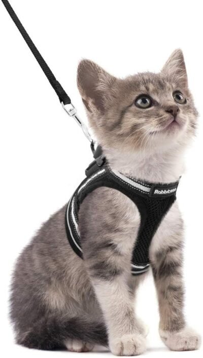 rabbitgoo Cat Harness and Leash Set for Walking Escape Proof
