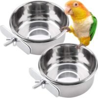 PINVNBY Parrot Feeding Cups Birds Food Dish Stainless Steel Parrot